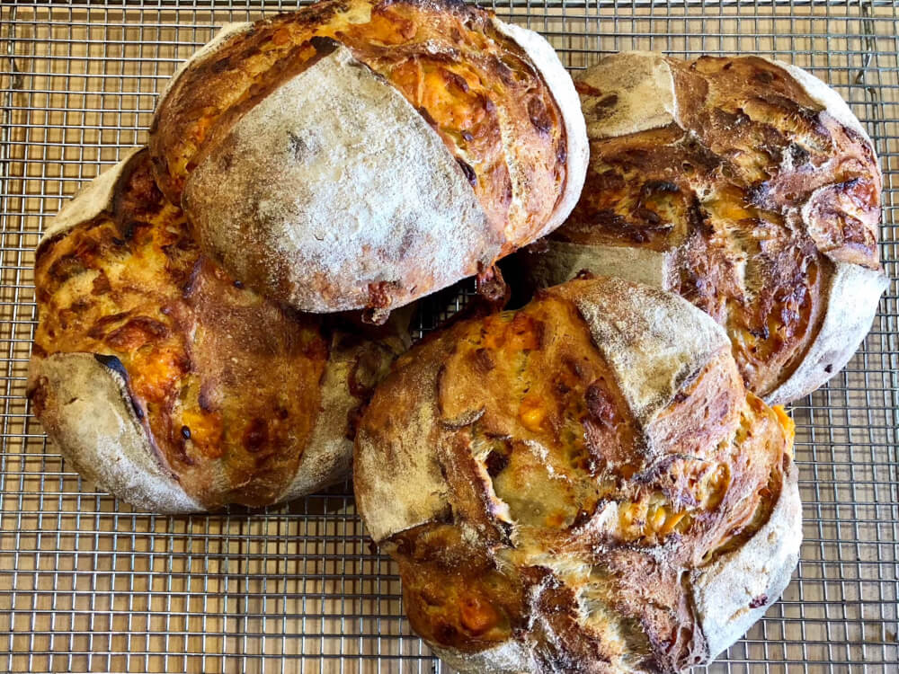 Cheddar sourdough made with an extra sharpe cheddar from Ashe county cheese (NC)