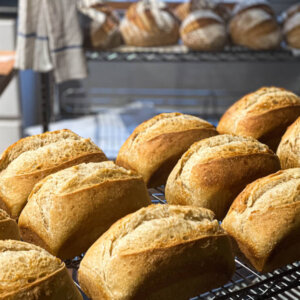 Sandwich sourdough made with olive oil and honey